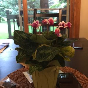 Meet your Posher, Robyn